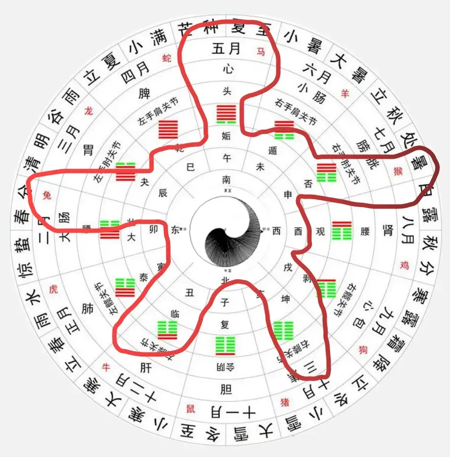大道至简的天人合一全息图，趣味解读 