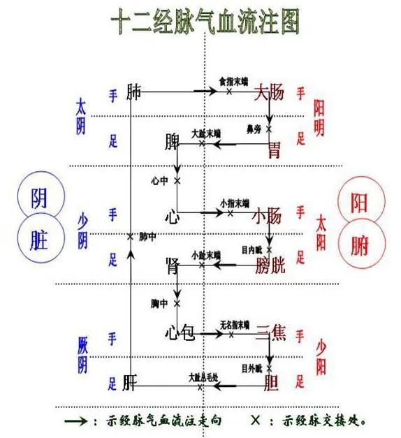 少阳相火，阳明燥金，太阳寒水，厥阴风木，少阴君火，太阴湿土