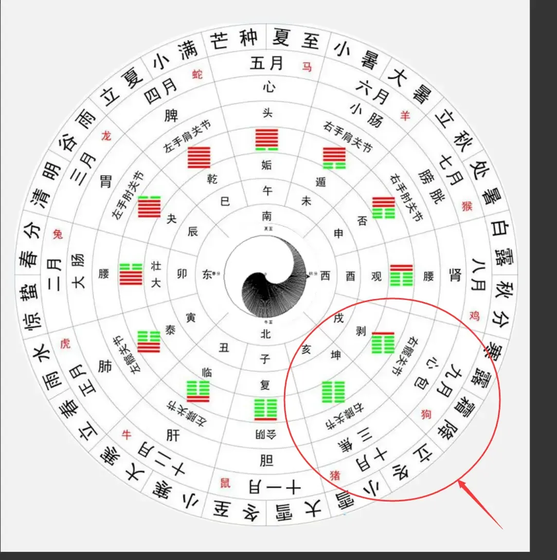 大道至简的天人合一全息图，趣味解读 
