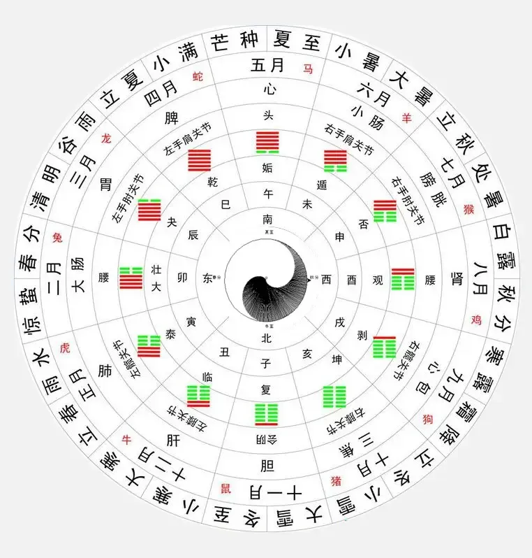 大道至简的天人合一全息图，趣味解读 