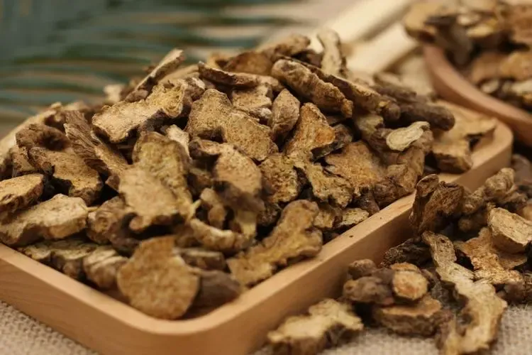 白术与苍术: 兄弟秉性各不同